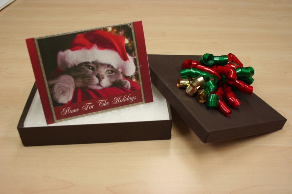 make a donation as a christmas gift